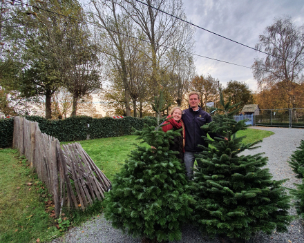 Kerstboomverkoop | Kerstbomen