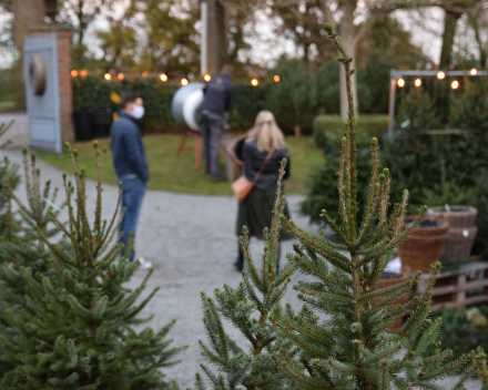 Kerstboomverkoop | Kerstbomen